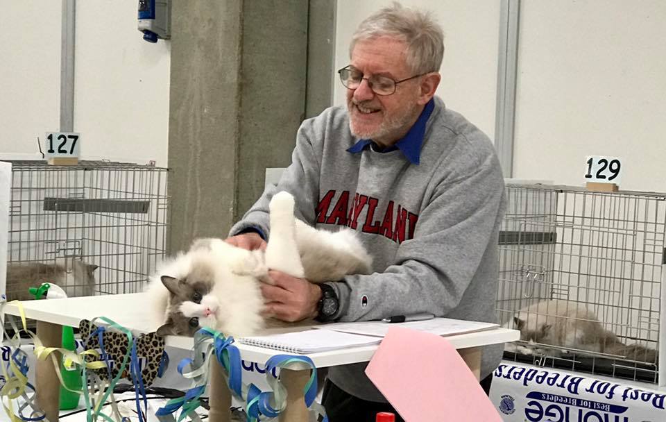 /images/Galeria/Kiállítások (Cat shows)/18698110_437016603332706_4834404439917506459_n.jpg